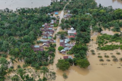 BNPB: Banjir Longsor Aceh Tewaskan Puluhan, Puluhan Lainnya Hilang