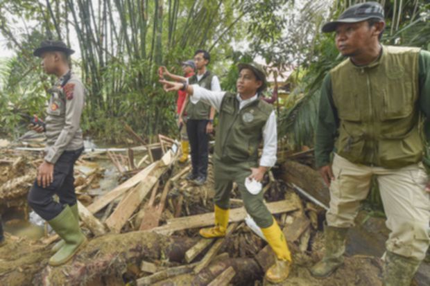 Menteri LHK Minta Polri Usut Asal Kayu Banjir Sumatra