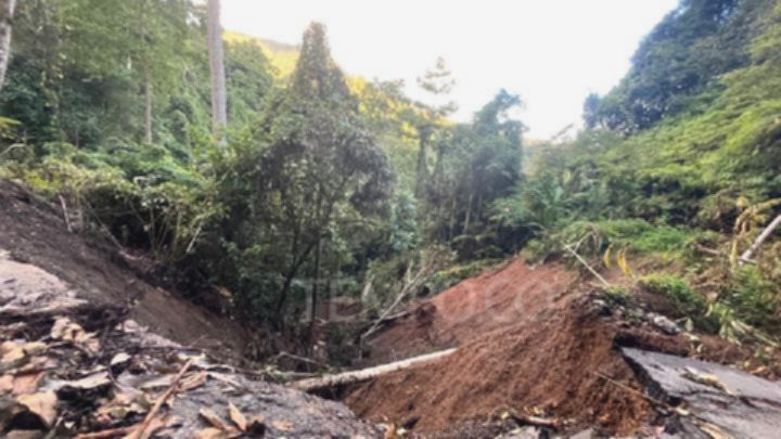KLHK Panggil Delapan Perusahaan Terkait Dugaan Pemicu Banjir