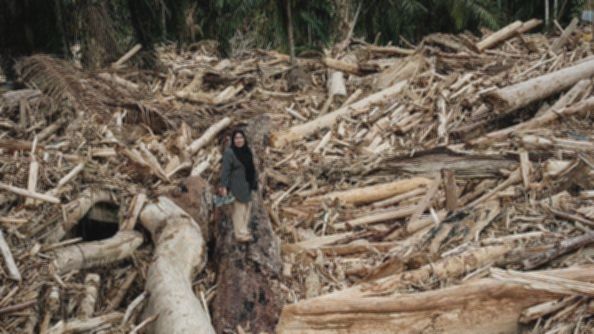 Banjir Sumatra, tsunami Aceh, dan likuifaksi Palu – apa perbedaan penanganannya?