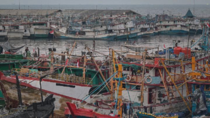 KKP butuh ribuan pekerja untuk modernisasi 1.000 kapal ikan