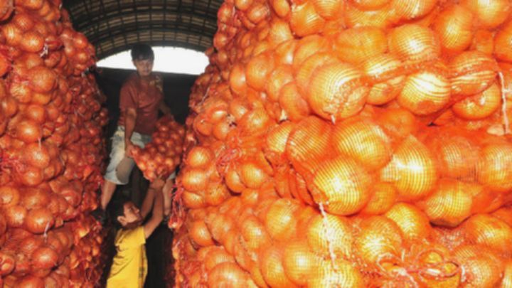 Penyelundupan 133 Ton Bawang Bombay Digagalkan di Semarang