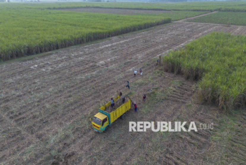Menkop Ajak Koperasi Tebu Rakyat Miliki Saham Pabrik Gula