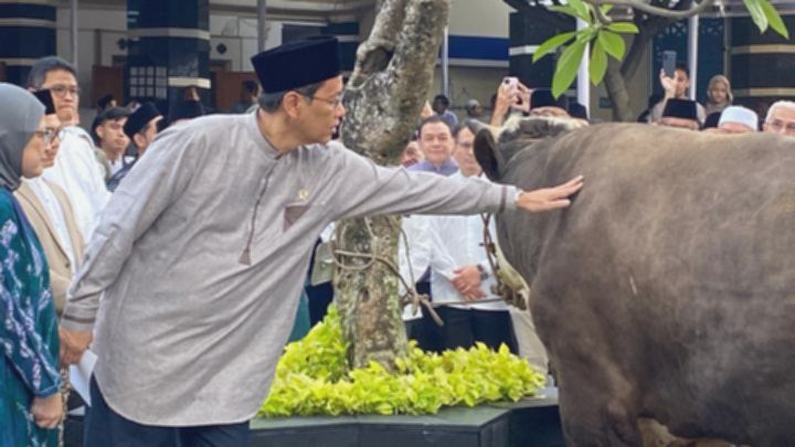 Purbaya Berkurban Sapi Pakai Dana Pribadi Usai Batal Haji