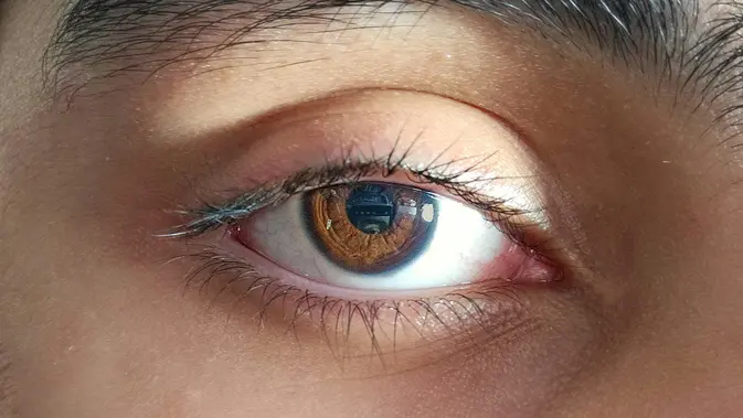Peneliti Hidupkan Retina Donor 10 Jam untuk Transplantasi